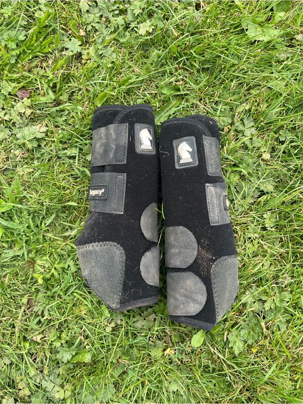 Classic equine Legacy two boots